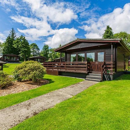 Bluebell Lodge 9 With Hot Tub Newton Stewart Exteriör bild